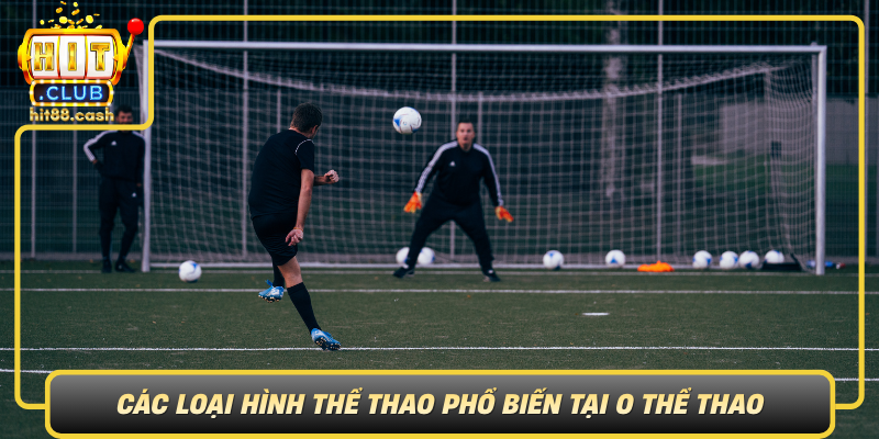 O Thể Thao – Sân Chơi Hoàn Hảo Cho Người Yêu Thể Thao 2 Cac Loai Hinh The Thao Pho Bien Tai O The Thao