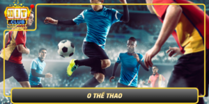 O The Thao San Choi Hoan Hao Cho Nguoi Yeu The Thao